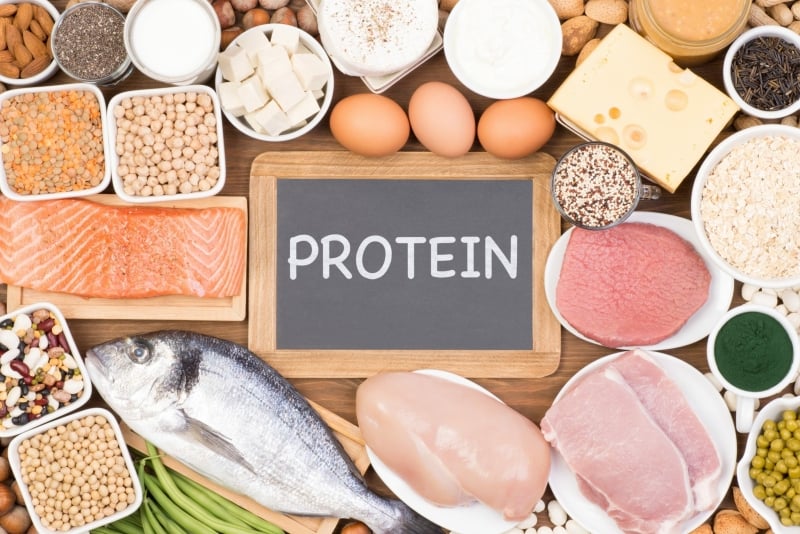 Wat zijn eiwitten? adobestock 213713637 scaled