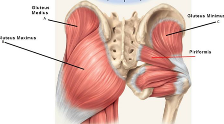 Booty Building! 1 afbeelding1