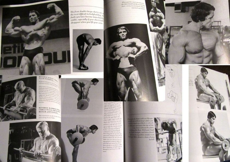 arnold schwarzenegger arnold schwarzenegger the new encyclopedia of modern bodybuilding slika 78774711