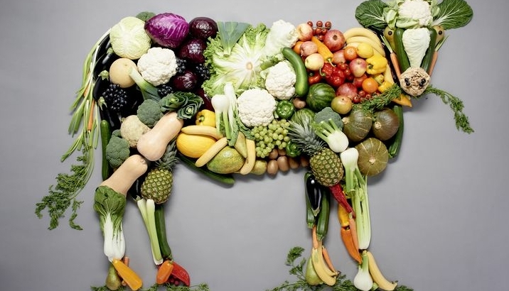 Dierlijke producten veganisme Dierlijke producten veganisme