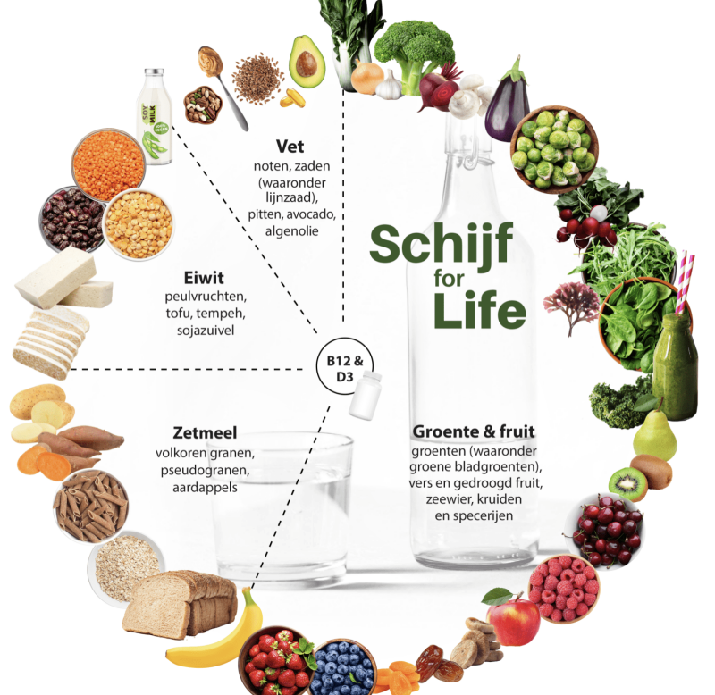 Ijzer en veganisme Ijzer en veganisme