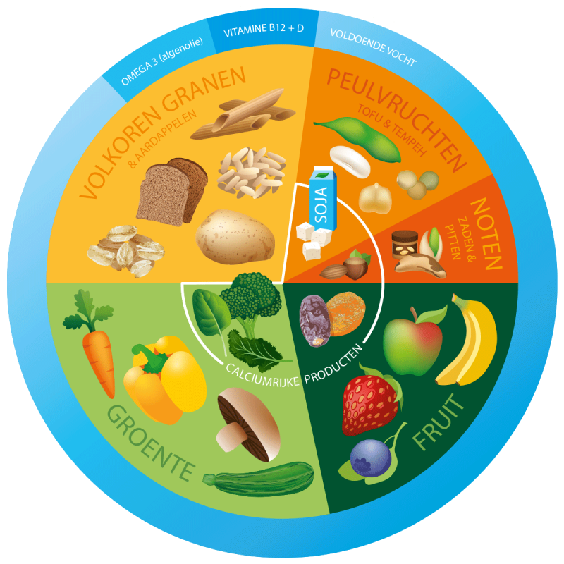 Wat te eten als vegetariër Wat te eten als vegetariër